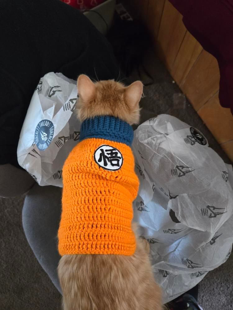 Pet Sweater