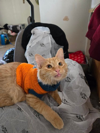 Pet Sweater
